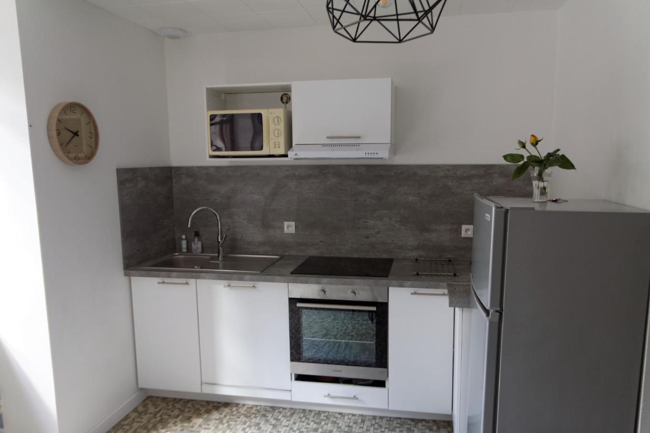 Villa Jean Julien - Le Sancy - Appartement T3 - 65M2 - 8 Personnes Le Mont-Dore Eksteriør billede