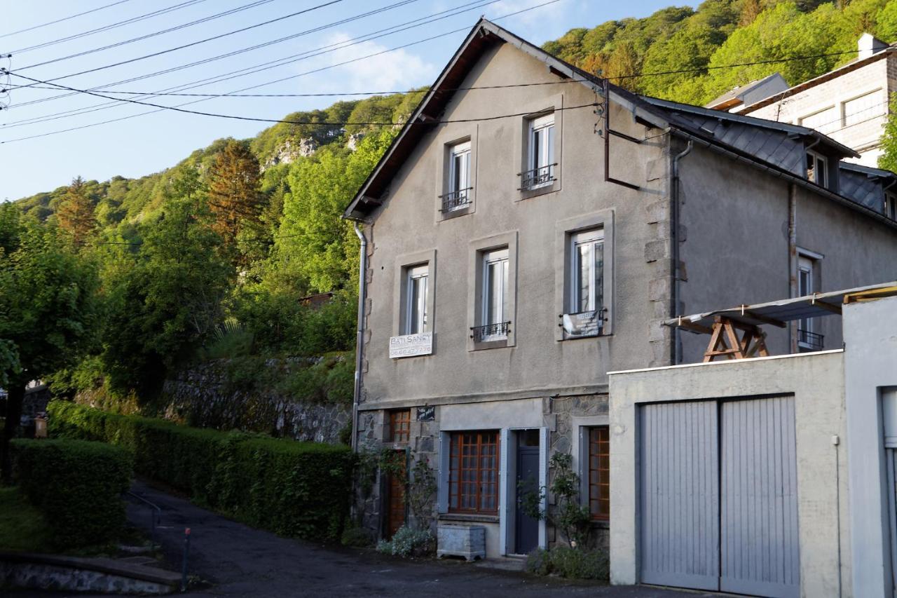 Villa Jean Julien - Le Sancy - Appartement T3 - 65M2 - 8 Personnes Le Mont-Dore Eksteriør billede