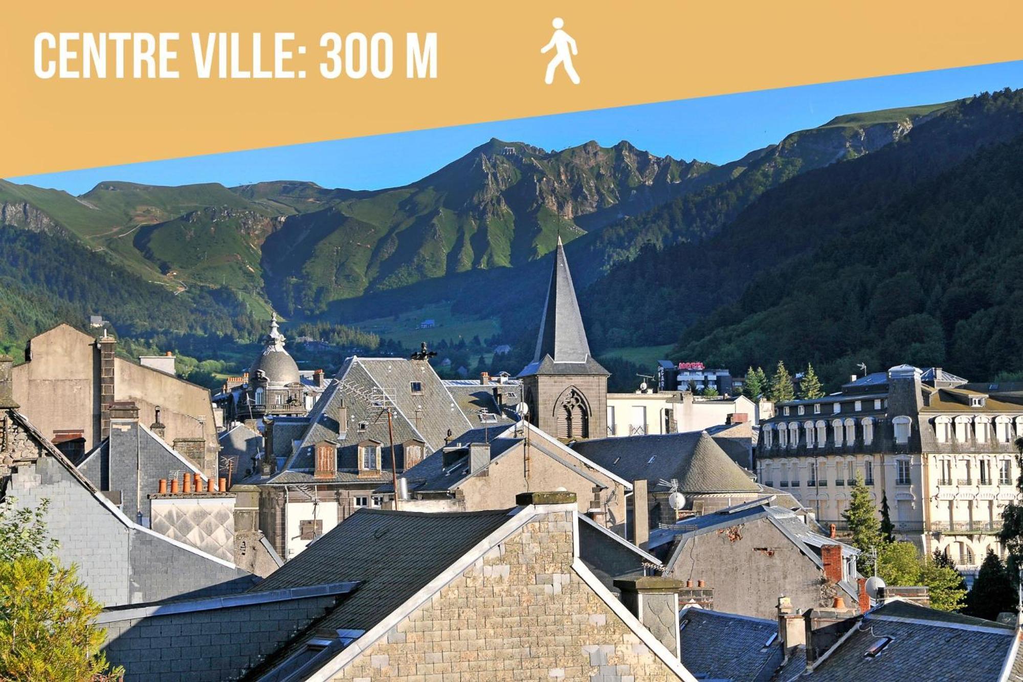 Villa Jean Julien - Le Sancy - Appartement T3 - 65M2 - 8 Personnes Le Mont-Dore Eksteriør billede